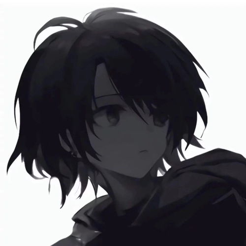 动漫男头失论