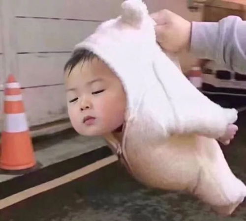 微信搞笑动态表情图片更新