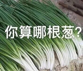 有没有比较搞笑比较皮的朋友圈文案