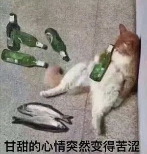 经典搞笑表情包我不听我不听