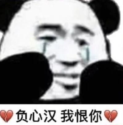 熊猫头表情包丨对不起,我爱的是游戏