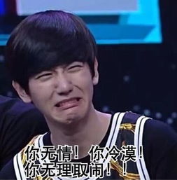 exo真人qq表情包带文字,类似于这种