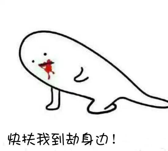 影流之主劫哪个皮肤手感最好