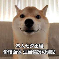 适合单身汪七夕发朋友圈的表情包