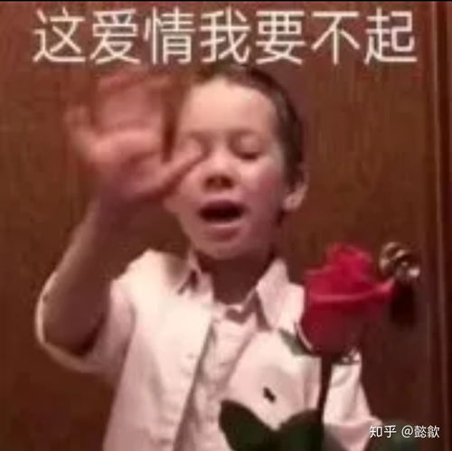关于我突然穿成恶毒女配这件事