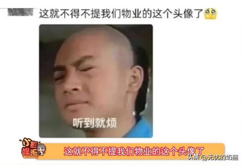最搞笑表情包五阿哥