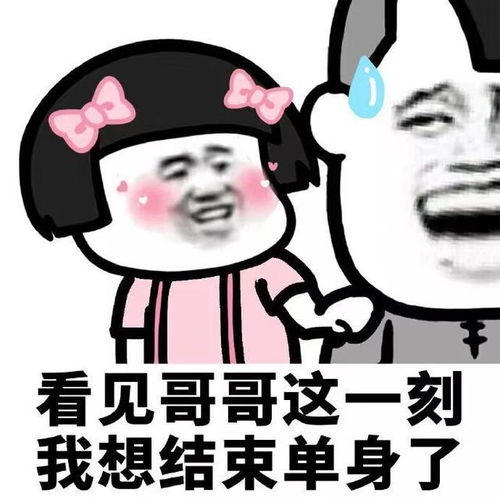 表情包没错,我就是感情骗子,今天这组表情包有点渣