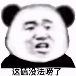 表情包熊猫头龙不吟虎不啸小小喷子可笑可笑第二十三期