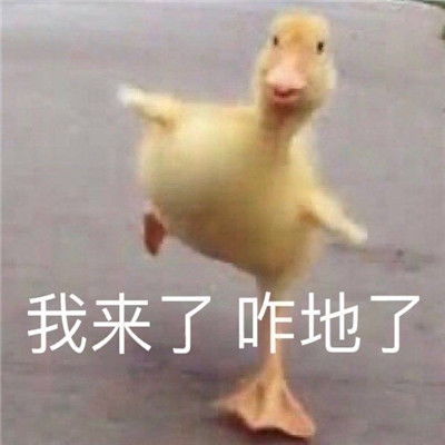 巨搞笑很有趣味的幽默表情让人觉得有毒吧的表情