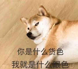 搞笑段子去复印店复印身份证,掏出身份证和一张百元钞票