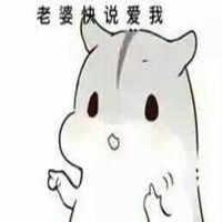 老婆表情包图片大全微信头像图片大全