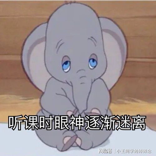 疫情居家那些与网课的爱恨情仇
