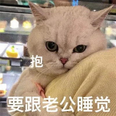 2022沙雕至极的个性聊天表情精选合集这谁顶得住啊搞笑聊天表情