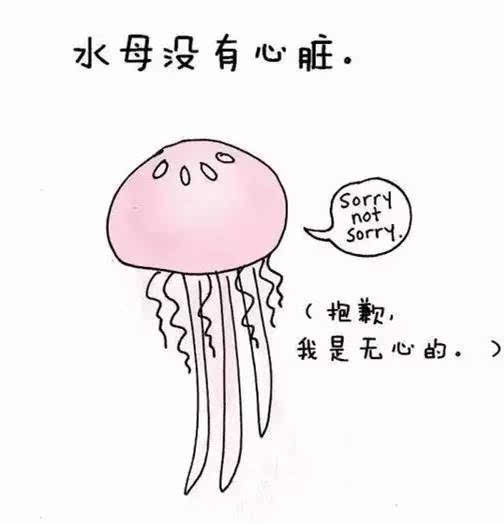 30个书本上学不到的动物冷知识呆萌可爱,孩子看了就不会忘