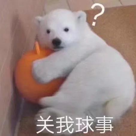 七夕搞笑表情包青蛙孤寡单身狗出租一套