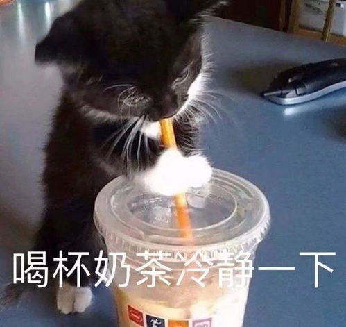 你听过哪些三观最不正的话