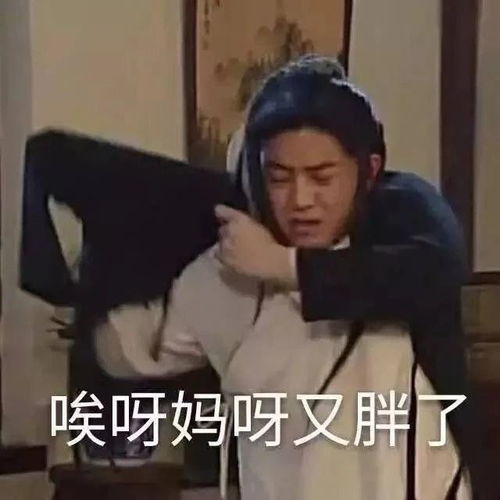 搞笑表情包拿图片达成共识,我什么都没看见