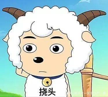 啥情况青田交警竟然在高速赶羊