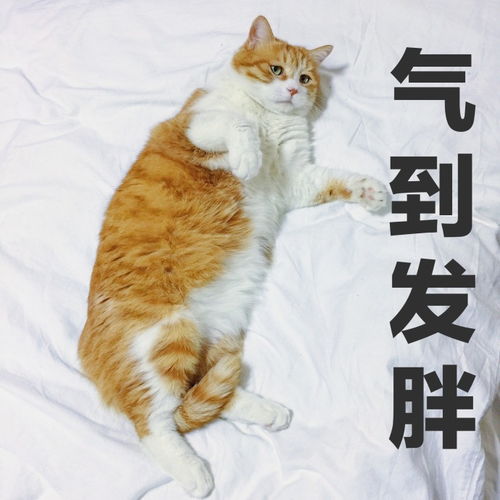 新浪不让非会员评论带图,朕或成最大输家表情