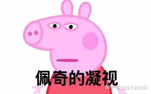 迟到的配音赚钱攻略,安排,赚钱最快的方式就是马上开始行动