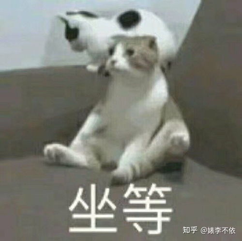 历时4天,租到理想房子,我经历了什么江湖险恶