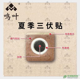 朱氏堂鸣叶三伏贴贴牌定制代理代加工oem