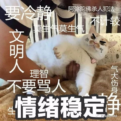 心痛两网红相继去世,今年剩下的日子该怎么活