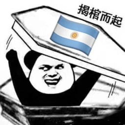 上海改灯德国战车凉啦雪铁龙世嘉亮啦改装超强四透镜