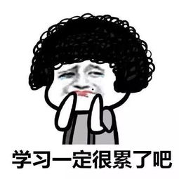最真实的留学生十二时辰来啦