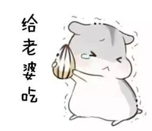 泸州老婆的使用说明书终于出世了哪个编的肚子都笑疼了