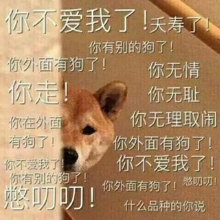 热门搞笑表情包作为一个靓仔,早已习惯孤独