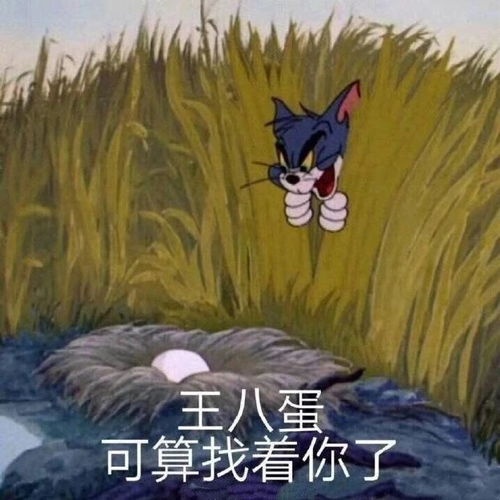 让人笑到头疼的沙雕文案