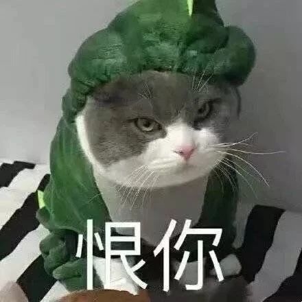 最新热门搞笑表情包图片出来坐下,为什么要这样呢
