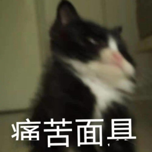 中国人民大学专属表情包