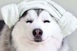 最新搞笑有内涵的单身个性签名单身签名话里有话的那种