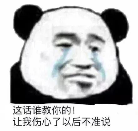 表情包还是沙雕熊猫头好使