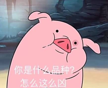 表情集哥们,听说你打算搞事情