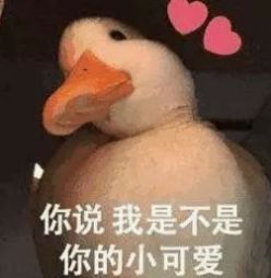 这是一条很正经的天气预报,在阆中的朋友注意查收哦