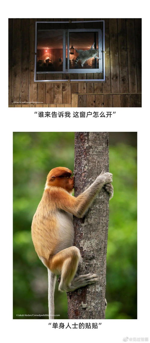 段子一串哈哈哈哈哈哈哈哈哈哈哈哈哈哈哈哈哈哈一笑时候对方