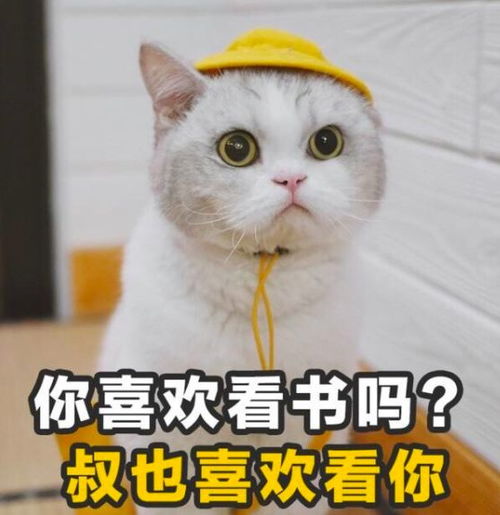 小龙虾皮皮虾一出手就是618只吃不完骑着走