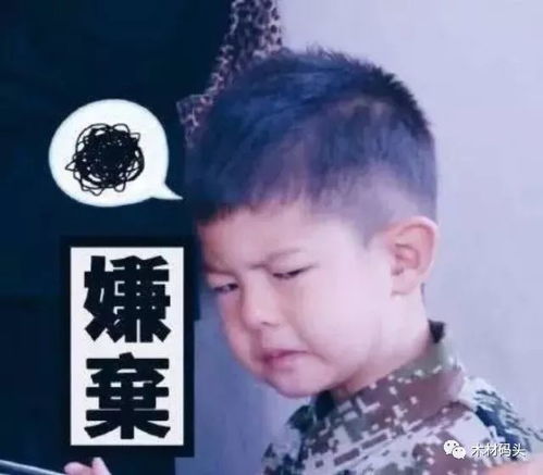 重拳出击,还木材人一片蓝天