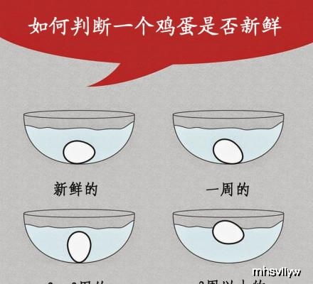 幽默搞笑段子集哈哈哈哈哈哈,妹子们在看什么,表情这么丰富