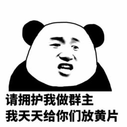 群表情包搞笑图片群主