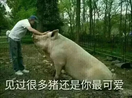 引爆整个互联网的骂战,现在骂人都要求这么高了吗