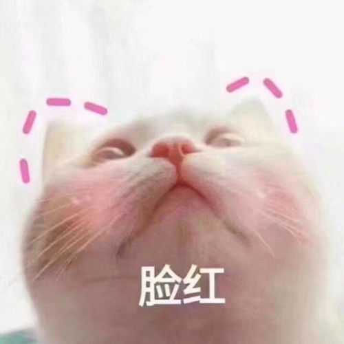 青春