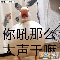 要抱抱燕小六表情包不谈恋爱逼事没有表情包下载乐游网游戏下载