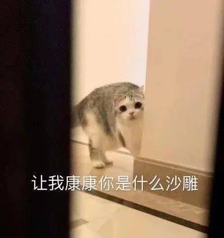 万能的表情包
