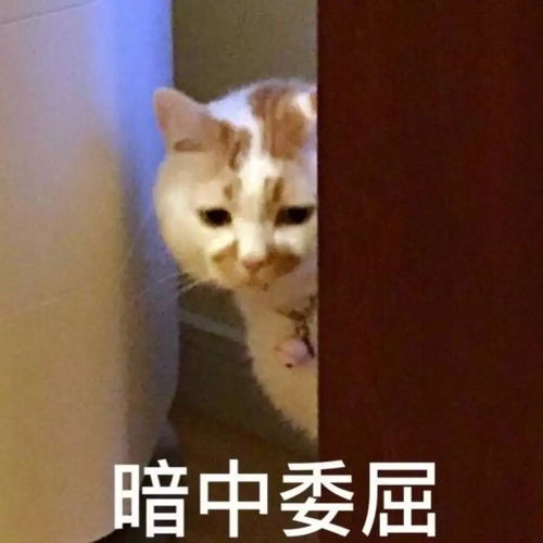 紧急通知南通人的国庆长假可能要泡汤了别哭,还有9个坏消息告诉你