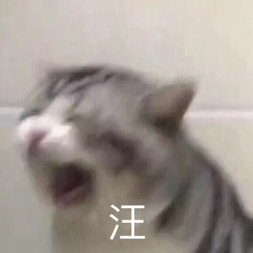 吸欧气支付宝中国锦鲤诞生,她下半生是不是不用工作了