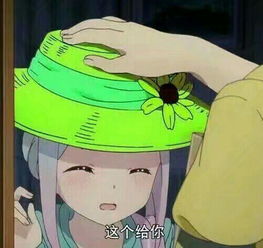 圈圈一周精选3.253.31